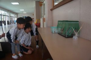 「ちょうちょうになっとる！」の様子
