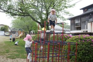 こんなに高く登れるよ😁の様子