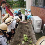 先生から、ちいさなレタスの苗を受け取りの様子