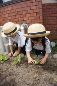 優しく植えました(^^)の様子