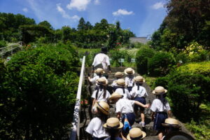 その後は、お楽しみのバラ園♪階段を登ると･･･の様子