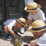 1．2．3…何匹いるかな？の様子