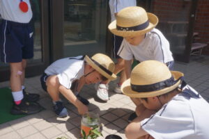 1．2．3…何匹いるかな？の様子