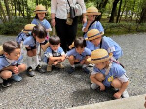 「クワガタだ!」とみんなで観察・・・の様子