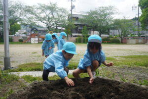 観察した後は、いよいよ植えますよ！の様子