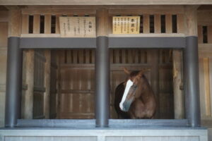「本勇号」に会えました♪の様子