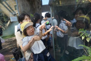 何の生き物を見つけたのかな👀の様子